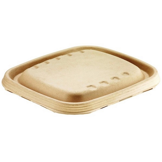 Låg t/Salatbakke Bionedbrydelig bagasse 4x125 stk